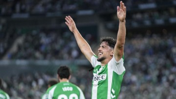 NG28圈.NG28官网-进球帮助球队锁定欧冠资格，福尔纳尔斯：贝蒂斯拯救了我